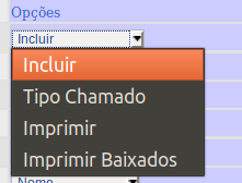 Opções Chamados